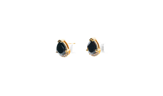 Guardian Earring