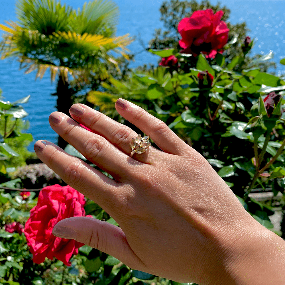 The Divine Ring