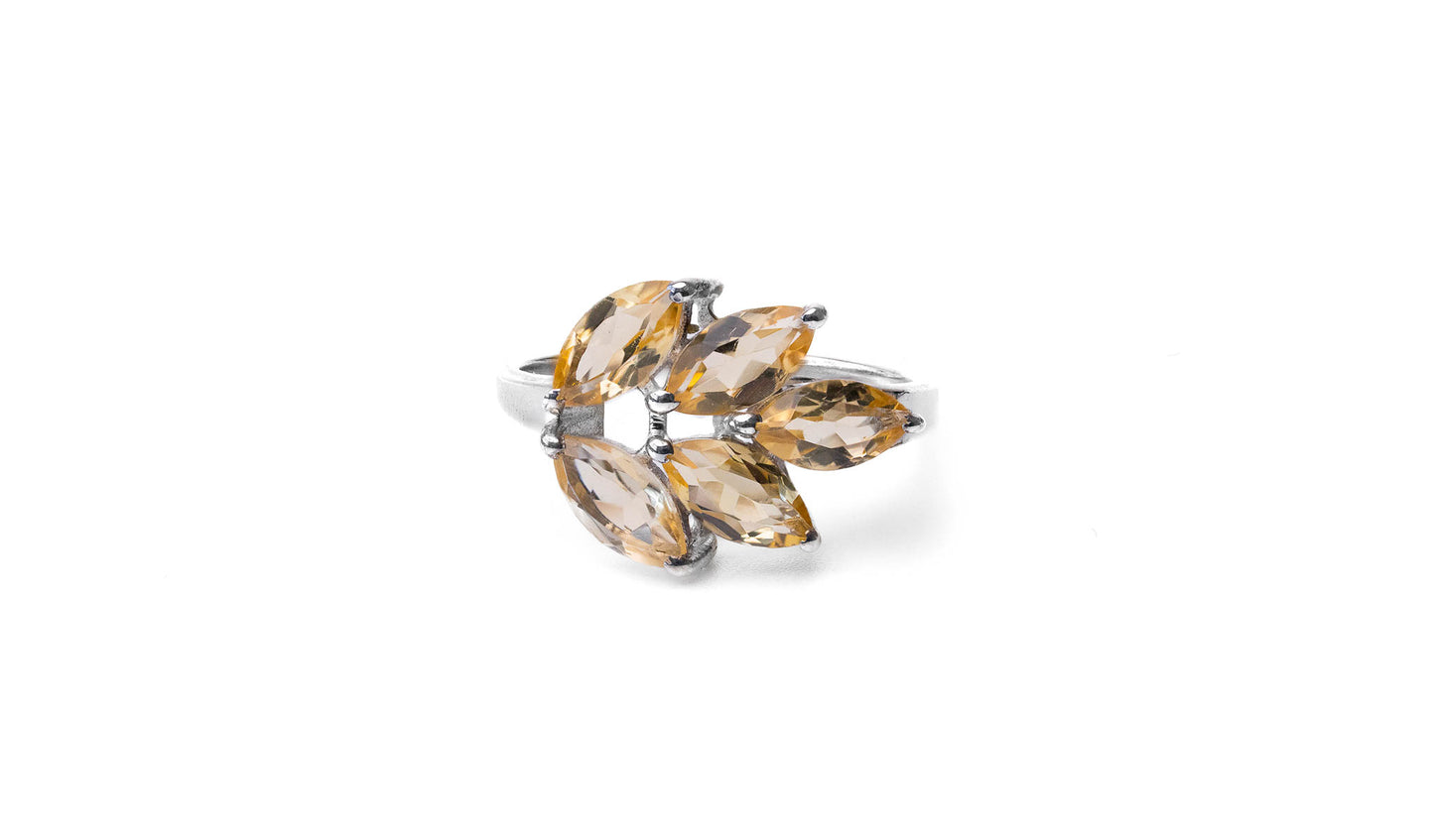 The Divine Ring