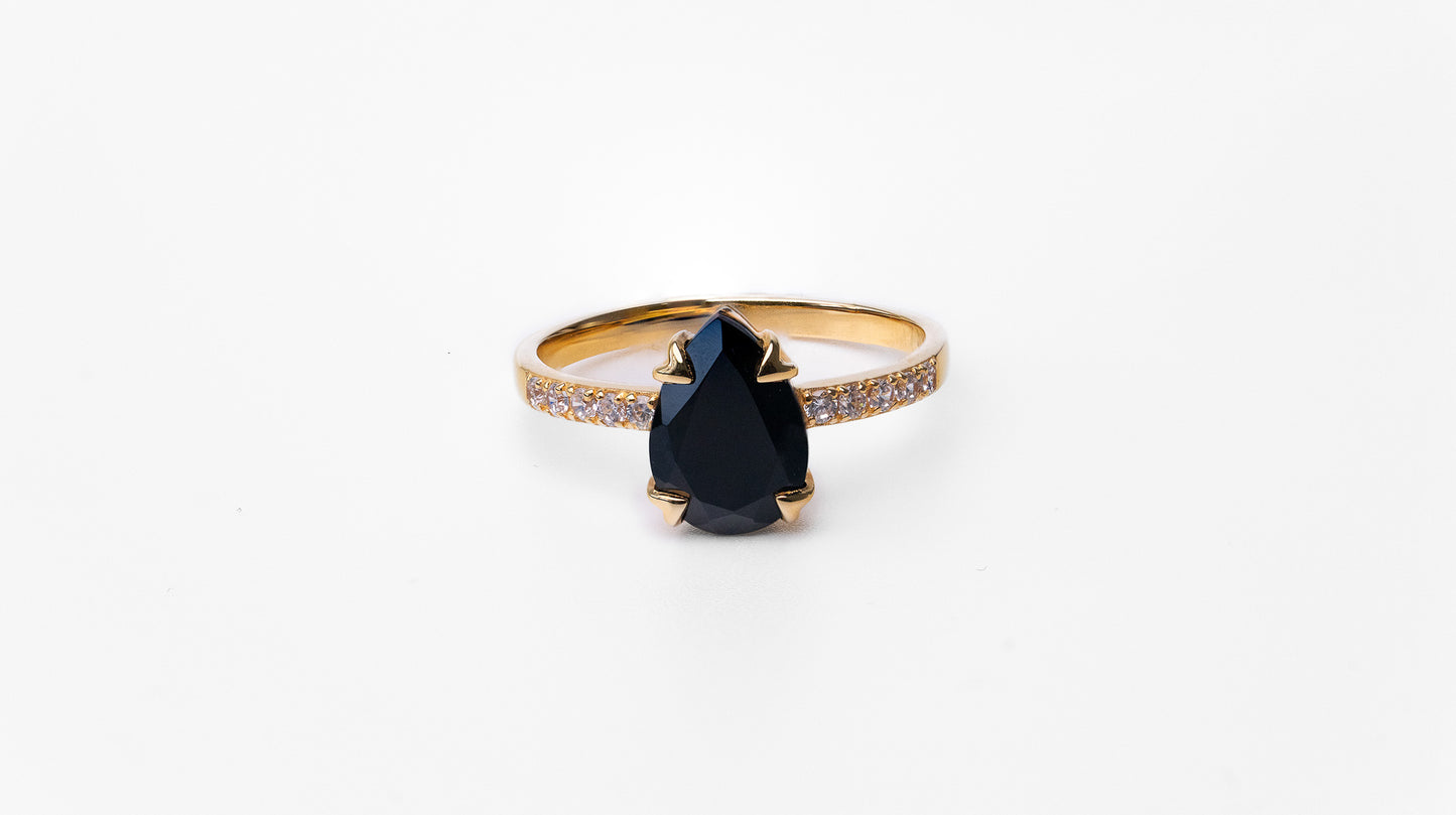 The Guardian Ring