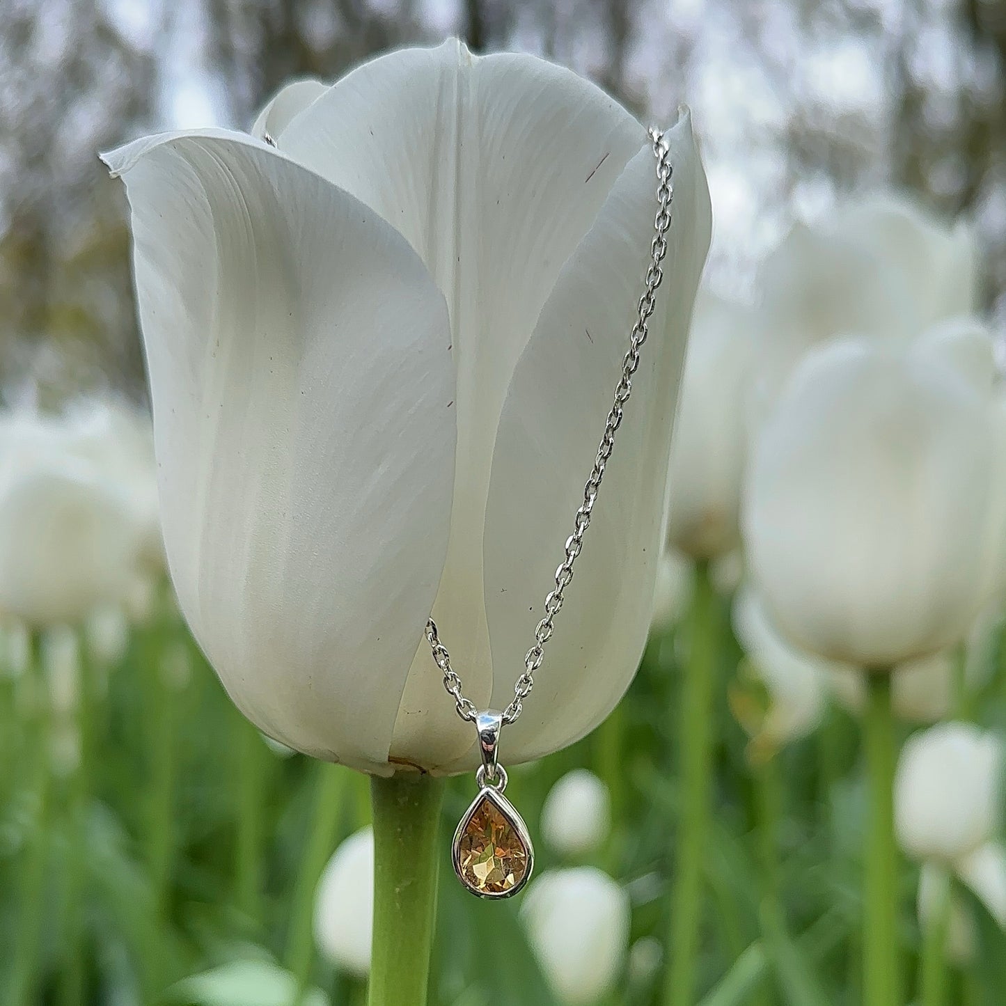 The Divine Ketting