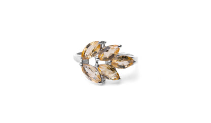 The Divine Ring