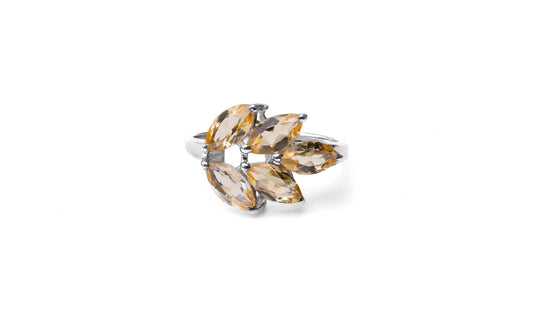 The Divine Ring